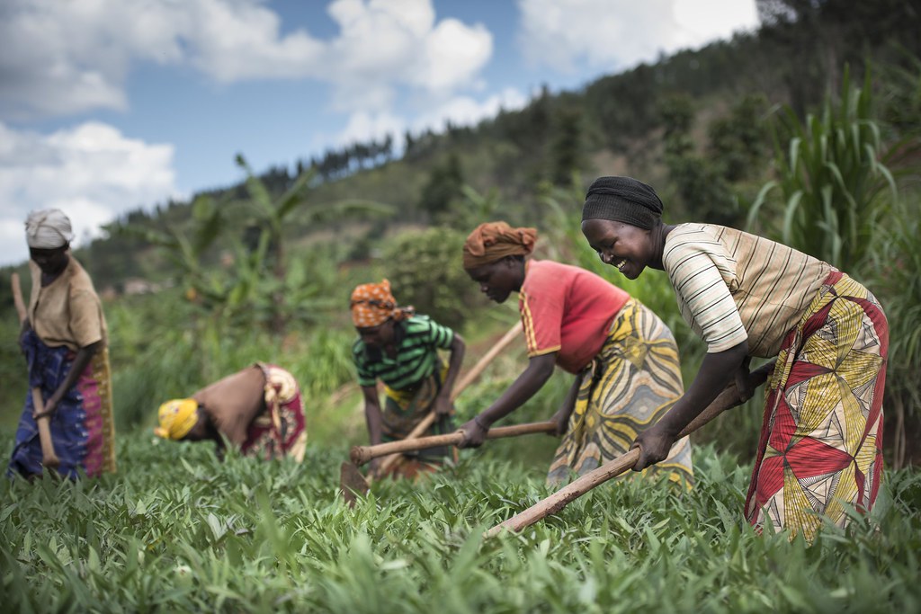 We enhance farmers’ productivity and competitiveness.